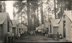 Logging Camp, John Lowe Pickering Lumber Company Sonora, CA Postcard Postcard Postcard