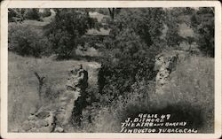 Theatre and Bakery Postcard