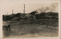 Lumber Yard Tuolumne, CA Postcard Postcard Postcard