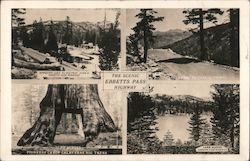 The Scenic Ebbetts Pass Highway Postcard