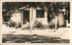 Honeymoon Cottage Camp San Francisco Postcard