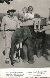 World Jungle Compound - Tusko the Elephant Postcard