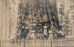 Stock #758351 Thumbnail