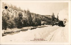 Truckee River Reached by Southern Pacific California Postcard Postcard Postcard