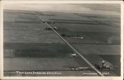 Tule Lake Farming Area Postcard