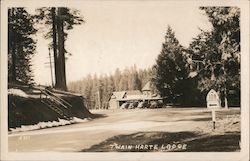 Twain Harte Lodge Postcard