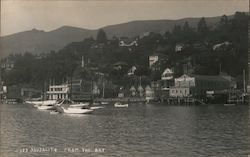 Sausalito From the Bay Postcard