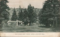 Cottages and Trees Mesa Grande, CA Postcard Postcard Postcard