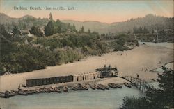 Bathing Beach Guerneville, CA Postcard Postcard Postcard