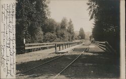 A Train Bridge Postcard