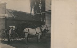 A Man with a Horse Drawn Carriage Postcard