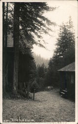 Vine Hill Farm Postcard