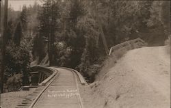 Guerneville Trustle Postcard