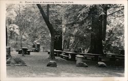 Picnic Grove at Armstrong Grove State Park Postcard