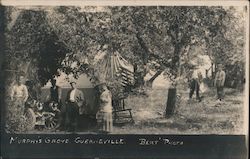 Murphy's Grove Postcard
