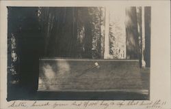 Armstrong Grove Postcard