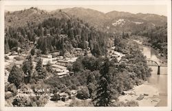 Russian River Postcard