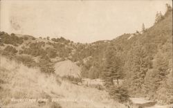 Quicksilver Mine Postcard