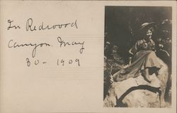 In Redwood Canyon Postcard