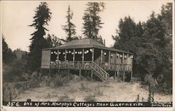 One of Mrs. Murphy's Cottages Postcard