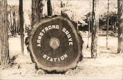 Armstron Grove Station Postcard