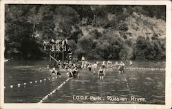 I.O.O.F. Park Russian River, CA Postcard Postcard Postcard