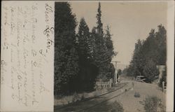 Everwood Park Postcard