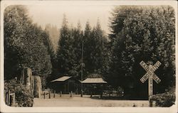 A Railroad Crossing Postcard