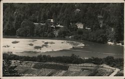 Camp Montesano on the Russian River Postcard