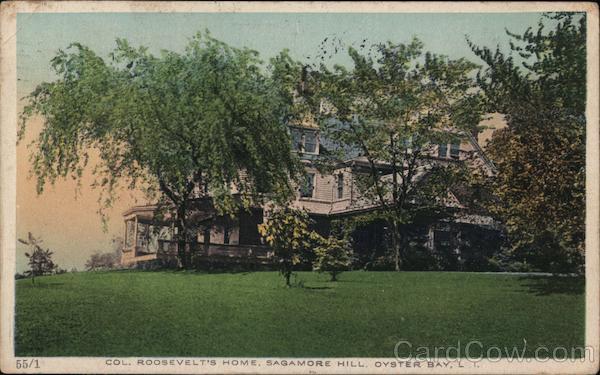 Colonel Roosevelt's Home, Sagamore Hill, Long Island Oyster Bay New York