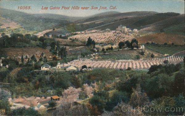 Los Gatos Foot Hills San Jose California
