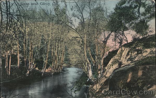 Scene Near Gilroy California