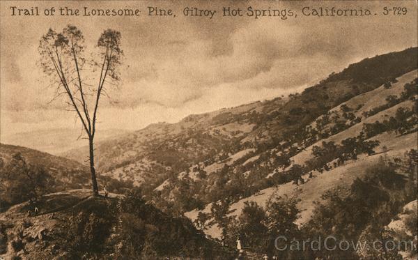 Trail of he Lonesome Pine, Gilroy Hot Springs, California