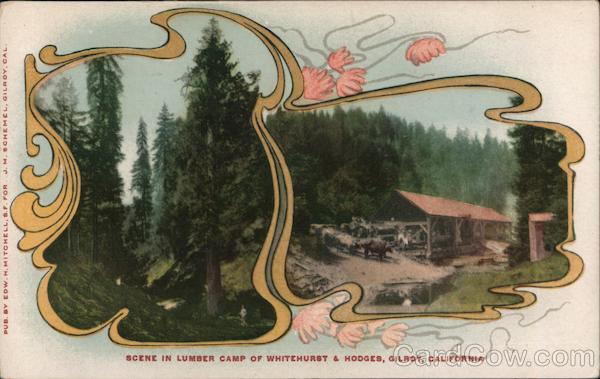 Scene in Lumber Camp of Whitehurst and Hodges Gilroy California