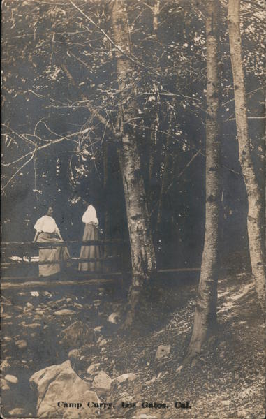 Camp Curry Los Gatos California