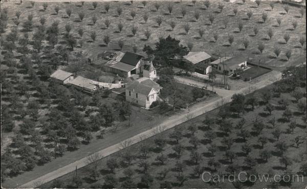 Farm Surrounded by Orchards Gilroy California