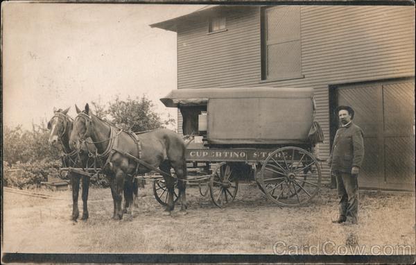 A Horse Drawn Carriage Cupertino California