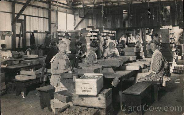 Women at Work - P.B. Payne Company Cannery Campbell California