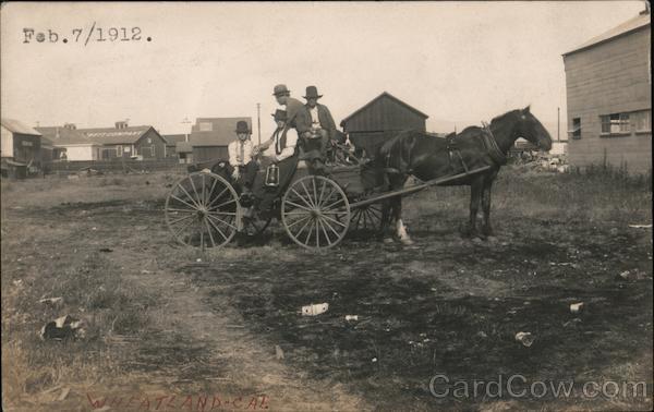 A Horse Drawn Carriage Wheatland California