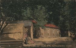 Cabins at the Redwood Retreat Resort Postcard