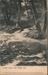 Creek Scene Postcard