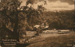 View at Alma, Santa Cruz Mts. Postcard