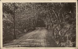 A Mountain Road Postcard