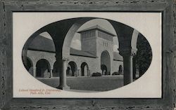 Leland Stanford Jr. University Postcard