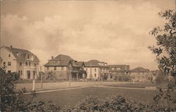 Laseun Street, Stanford University Postcard