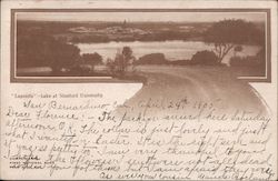 "Lagunta" - Lake at Stanford University Postcard