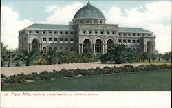 Leland Stanford Jr. University Library Postcard