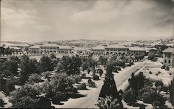 Stanford Campus 1915 Postcard