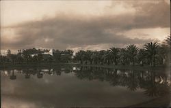 Leland Stanford Junior Museum pre Earthquake Postcard