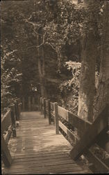The Foot Bridge Postcard